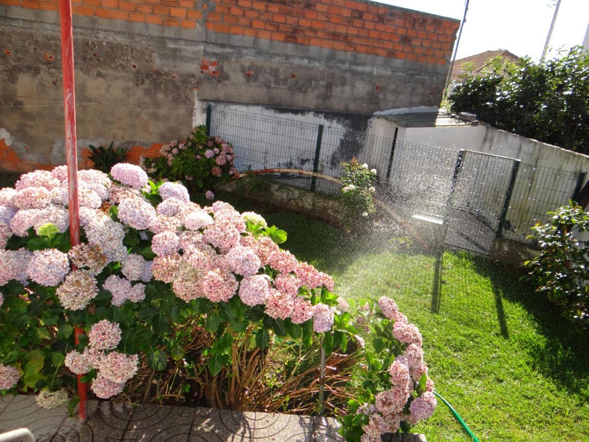 Ribeiro'S House Villa กาฟันญา ดา นาซาเร ภายนอก รูปภาพ