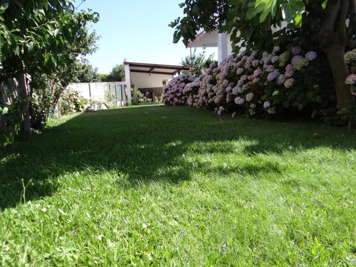 Ribeiro'S House Villa กาฟันญา ดา นาซาเร ภายนอก รูปภาพ